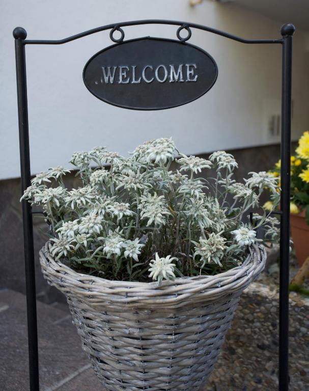 Hotel Garni Fiegl Apart Sölden Exteriör bild